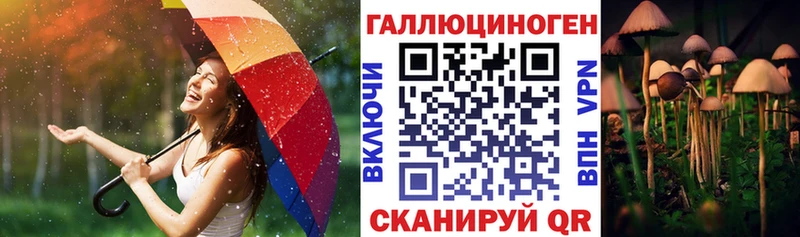 Купить закладки  Новотроицк  Псилоцибиновые грибы GOLDEN TEACHER 